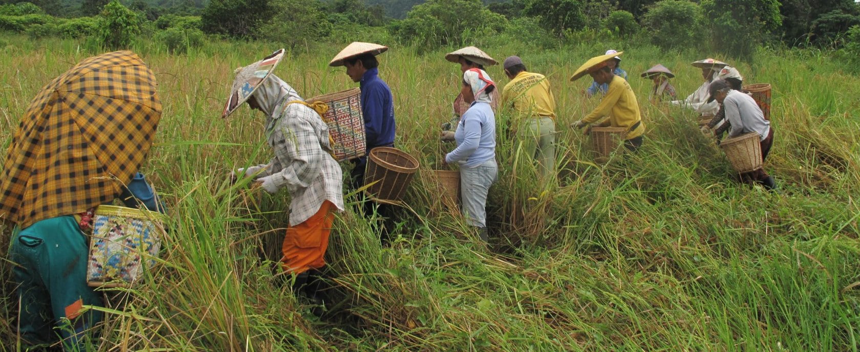 csm_indonesien_bildung_200.1010_03_a7352591f6.jpg