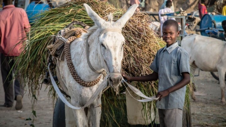 South Sudan