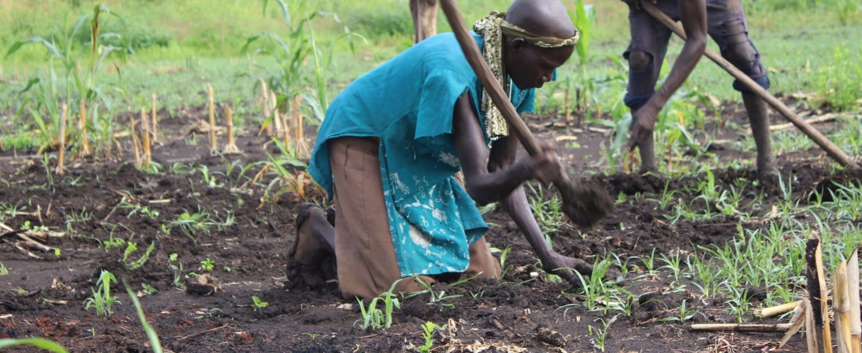 csm_suedsudan_agricultura_y_seguridad_26e0b7d577.jpg