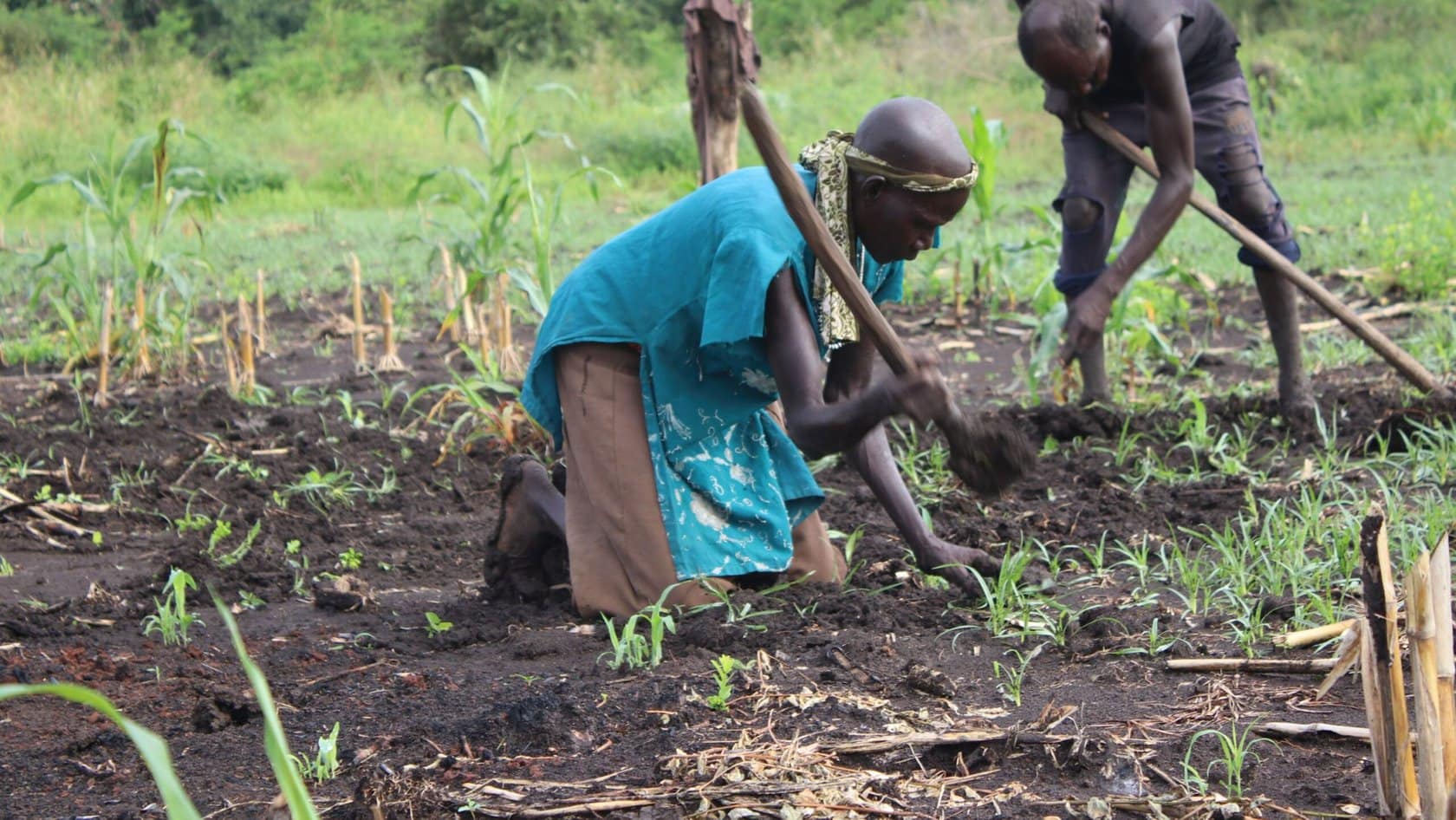 csm_suedsudan_landwirtschaft_und_existenzsicherung_26e0b7d577.jpg