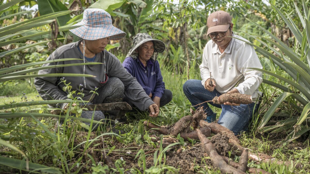 historia de ungkin, malasia
