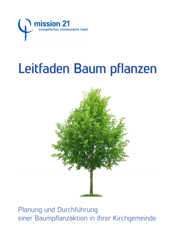 guía de actuación para la plantación de árboles