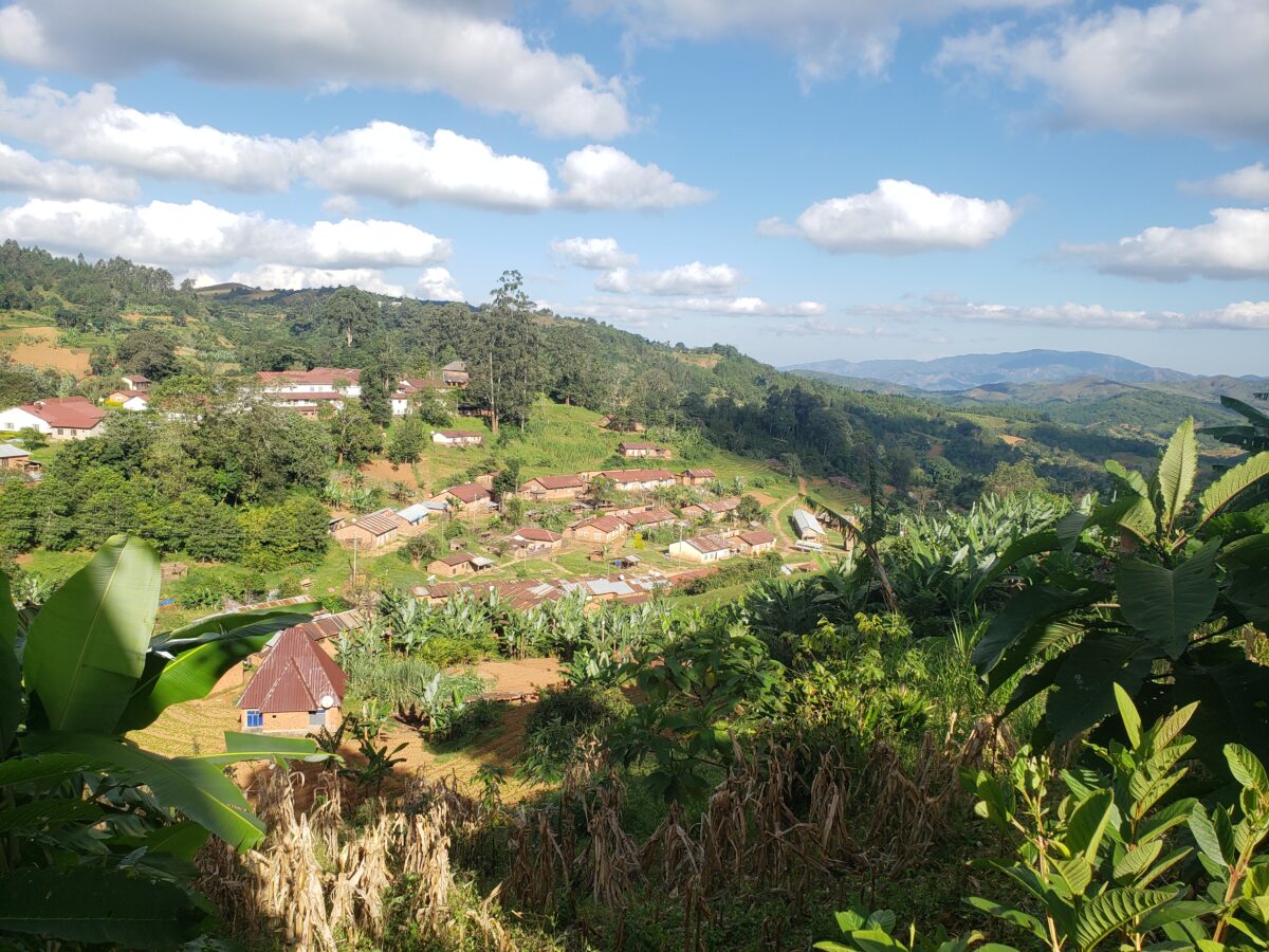 Blick auf eine grüne Hügellandschaft mit Häusern.