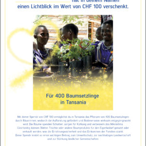 donación "formación para la paz para jóvenes"