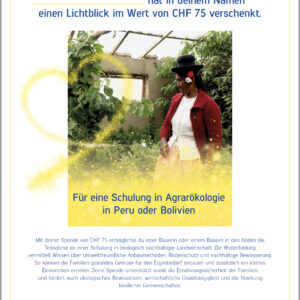 gift donation "peace training for young people"