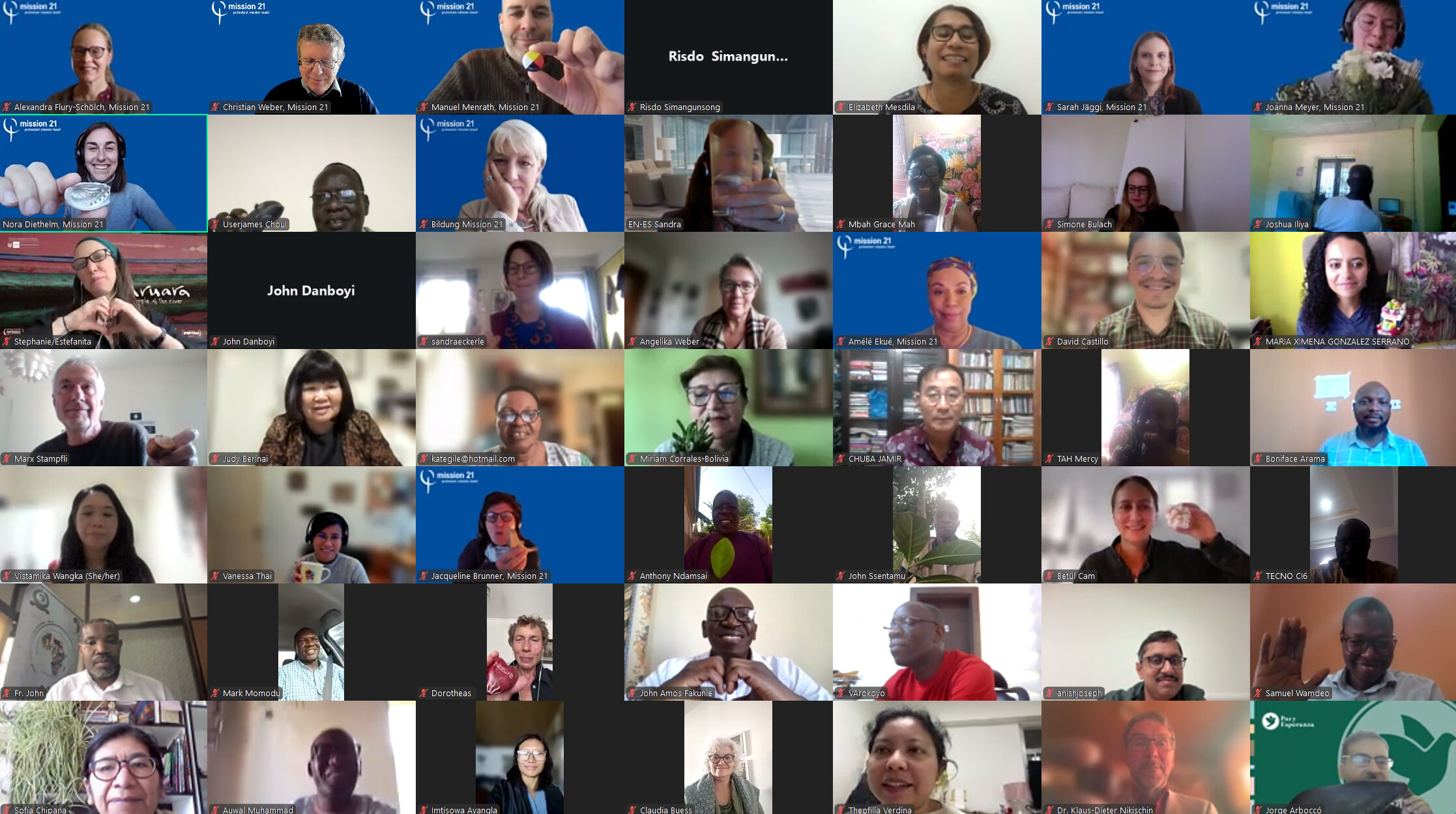 Gruppen-Screenshot der Online-Teilnehmenden des Forums