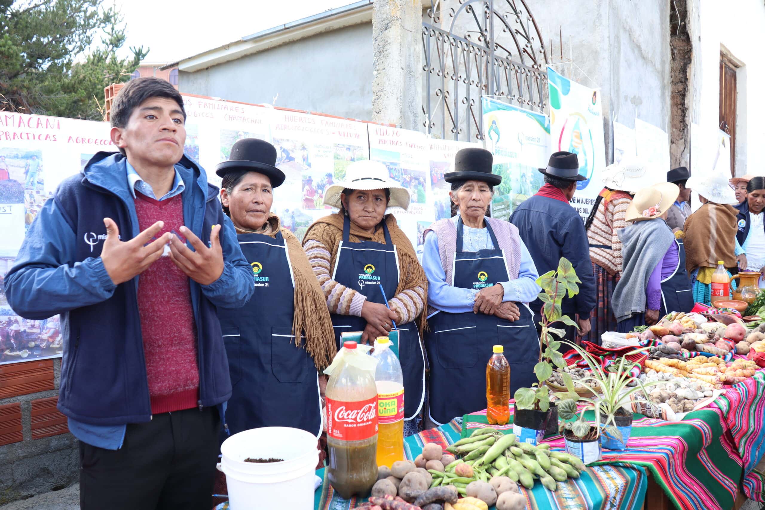 prodiasur copacabana bolivia